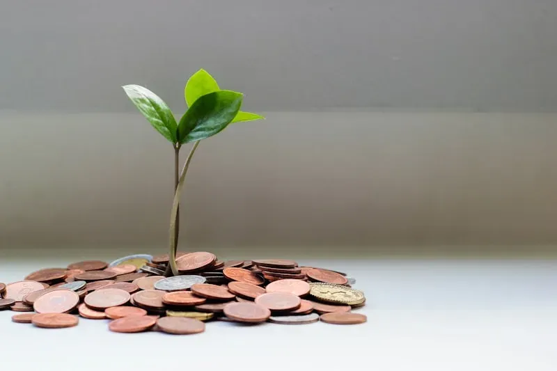 TikTok Live Gifts Explained: How Much Creators Get Paid (2026)